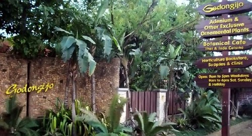 gallery